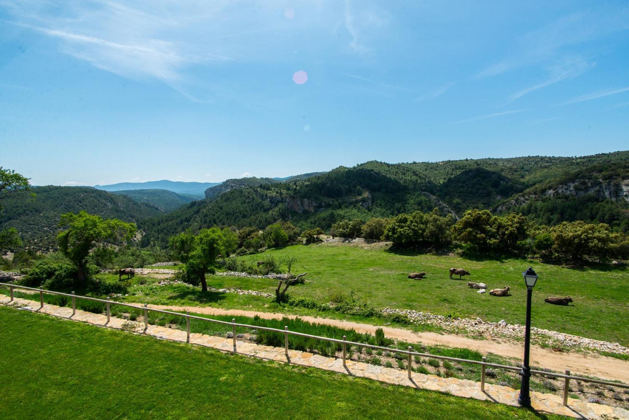 Font D'En Torres Solo Adultos Casa de hóspedes Morella Exterior foto
